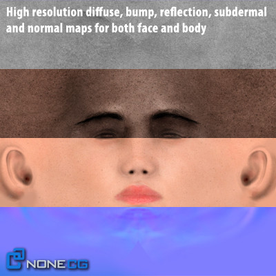free realistic female girl head 3d model - Anatomy Girl Angie Rigged by NONECG