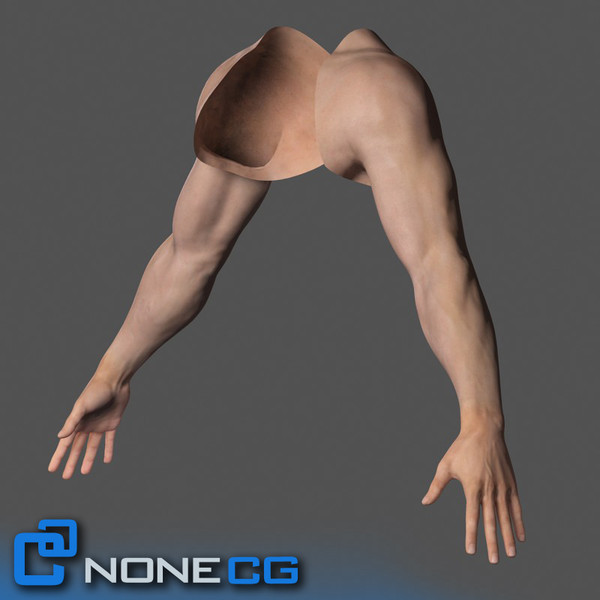 Adult Male Arms and Hands