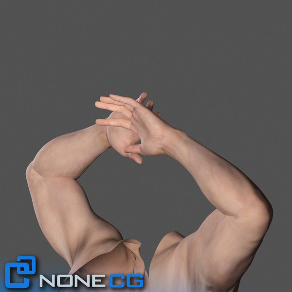 Adult Male Arms and Hands