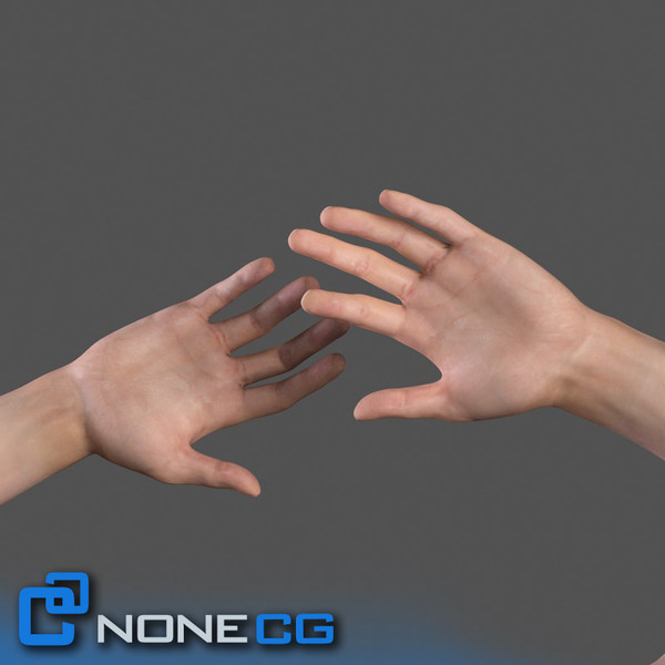 Adult Male Arms and Hands
