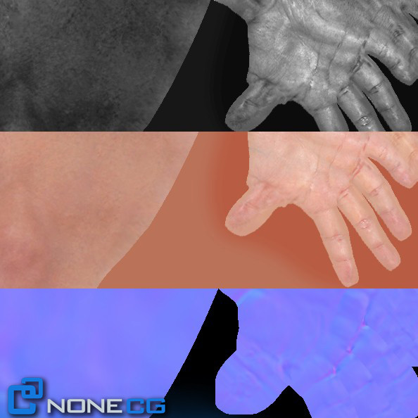 Adult Male Arms and Hands