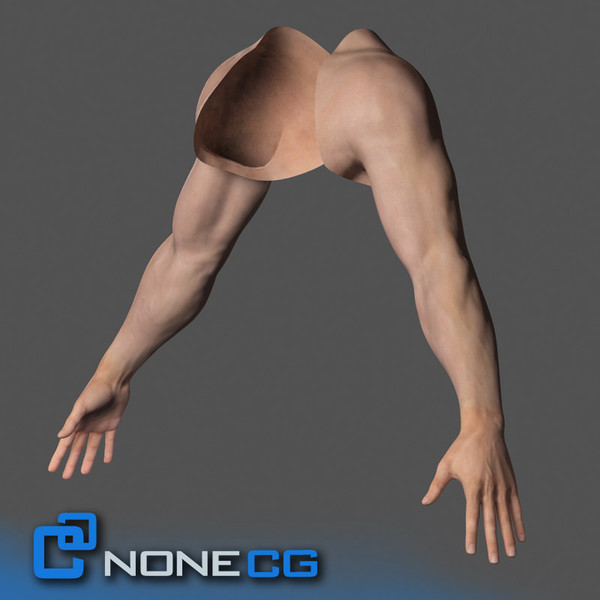 Adult Male Arms and Hands Rigged