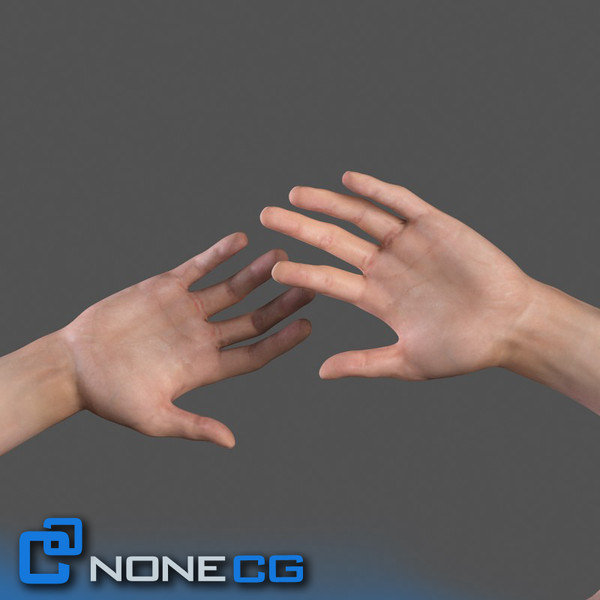 Adult Male Arms and Hands Rigged