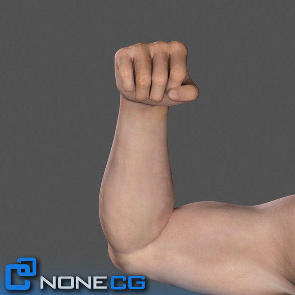 Adult Male Arms and Hands Rigged