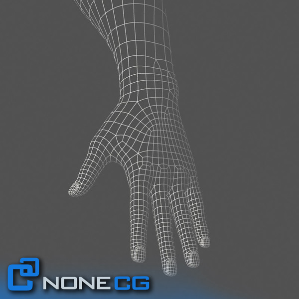 Adult Male Arms and Hands Rigged