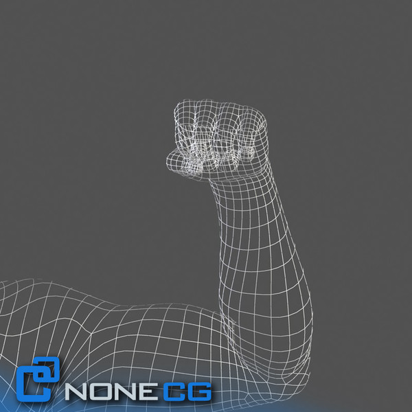 Adult Male Arms and Hands Rigged