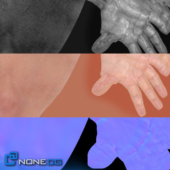 Adult Male Arms and Hands Rigged