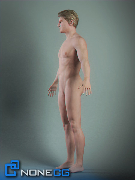 realistic male character rigged max - Adult Male Brian Nude Rigged... by NONECG