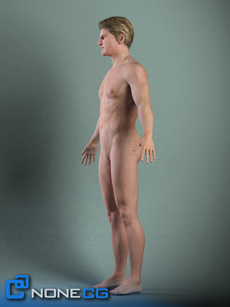 realistic male character rigged 3d model - Anatomy Male Brian Rigged by NONECG