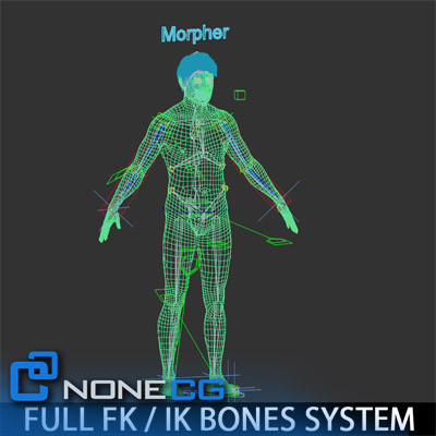 realistic male character rigged 3d model - Anatomy Male Brian Rigged by NONECG