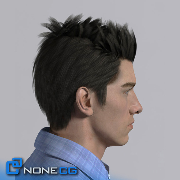 3d realistic male man model - Anatomy Male Tom Rigged by NONECG