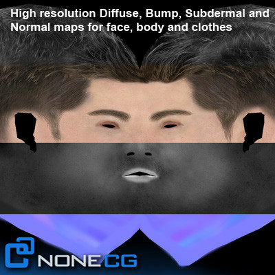 3d realistic male man model - Anatomy Male Tom Rigged by NONECG