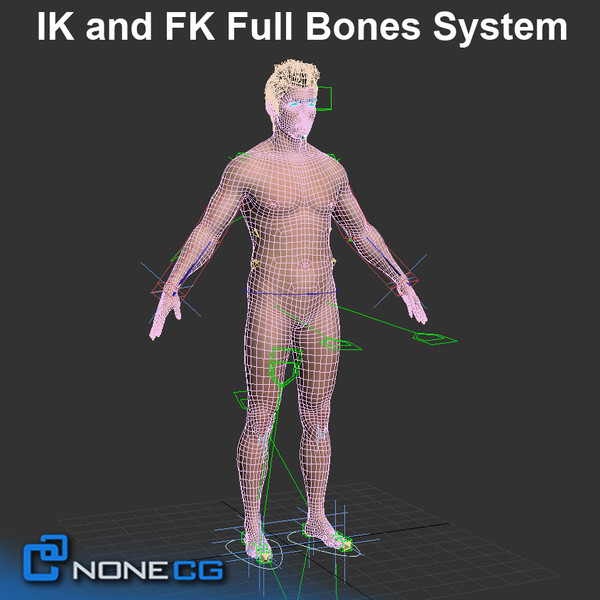 3d realistic male man model - Anatomy Male Tom Rigged by NONECG