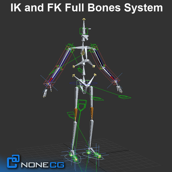 3d realistic male man model - Anatomy Male Tom Rigged by NONECG