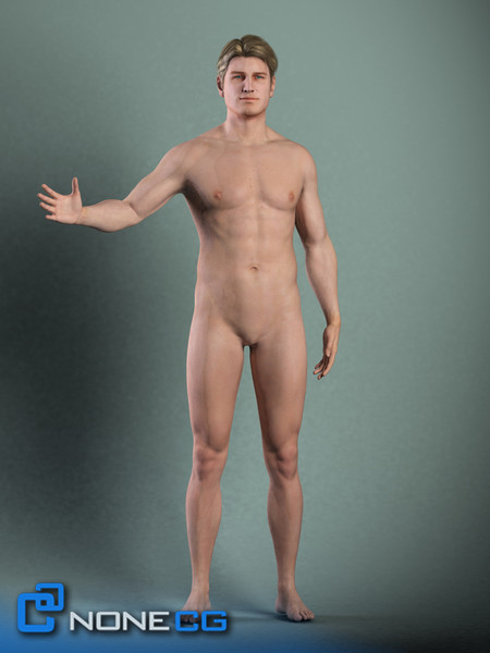 Anatomy Male Brian