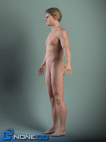 Anatomy Male Brian