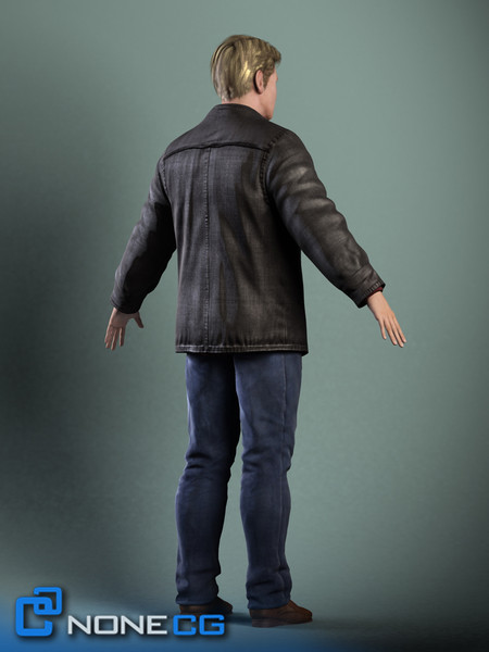 Anatomy Male Brian