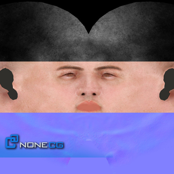 Anatomy Male Brian