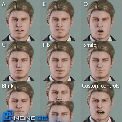 Anatomy Male Brian
