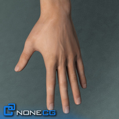 3d realistic male female rigged model - Rigged Male and Female Pack by NONECG