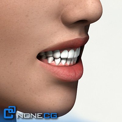 3d realistic male female rigged model - Rigged Male and Female Pack by NONECG