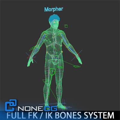 realistic males female rigged 3d model - Pack - Adult Males and Female Rigged... by NONECG
