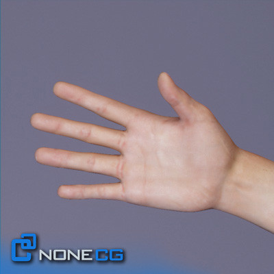 realistic males female rigged 3d model - Pack - Adult Males and Female Rigged... by NONECG