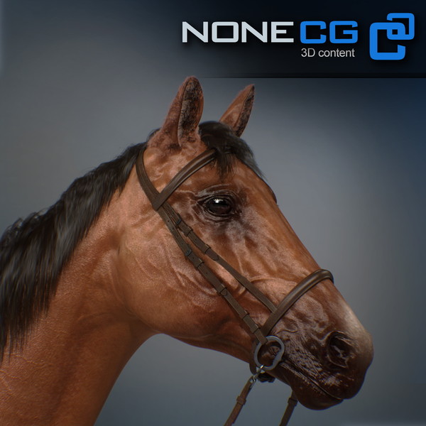 horse animal mammal 3d model - Western Horse... by NONECG