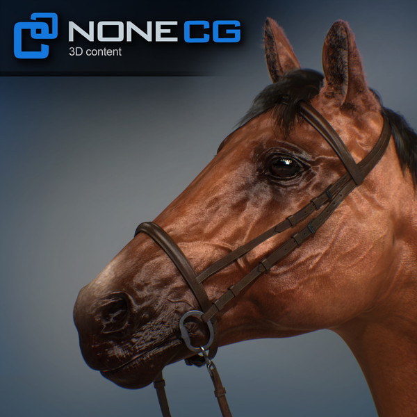 horse animal mammal 3d model - Western Horse... by NONECG