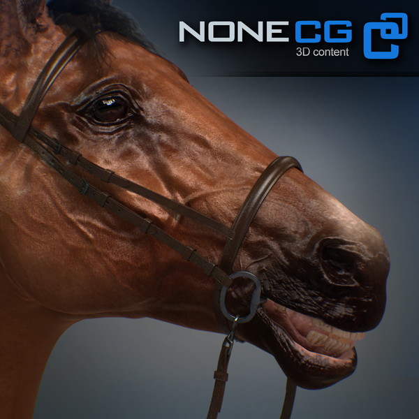horse animal mammal 3d model - Western Horse... by NONECG