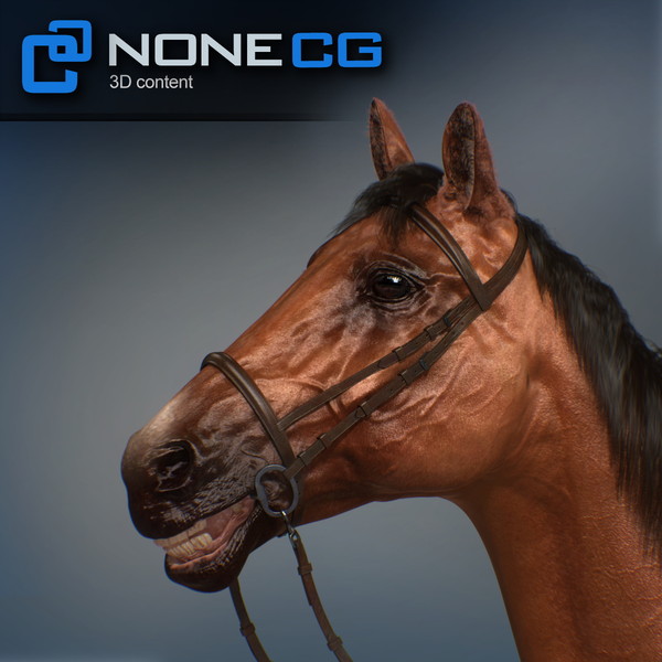 horse animal mammal 3d model - Western Horse... by NONECG