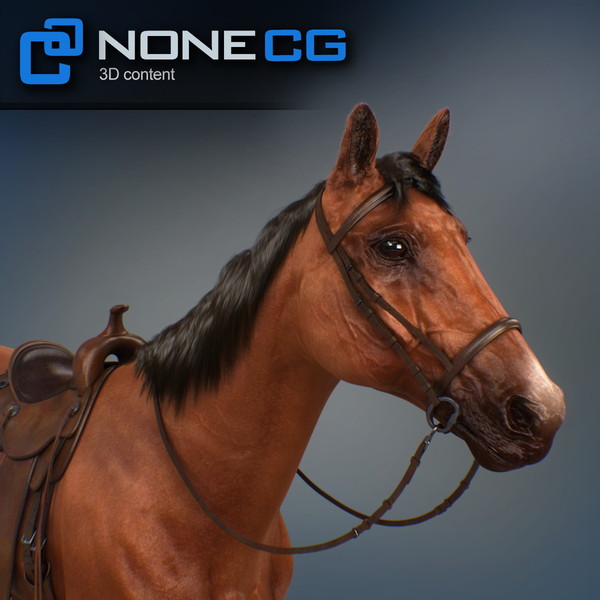 horse animal mammal 3d model - Western Horse... by NONECG