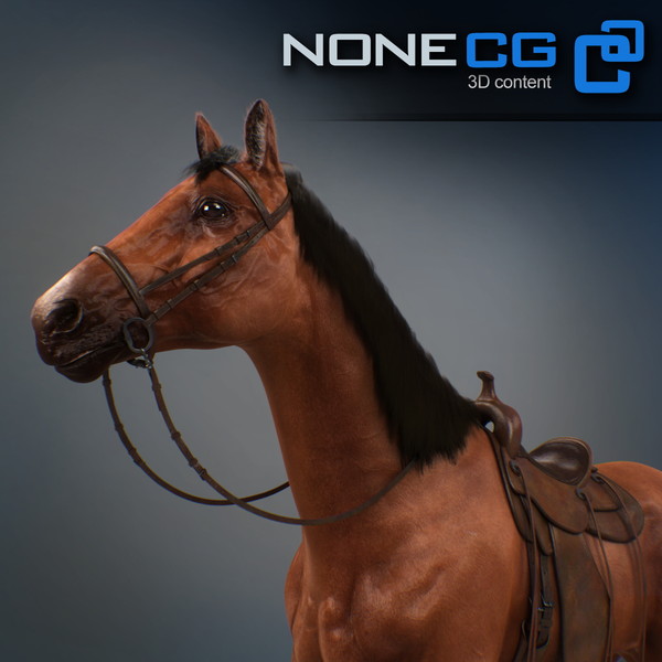 horse animal mammal 3d model - Western Horse... by NONECG