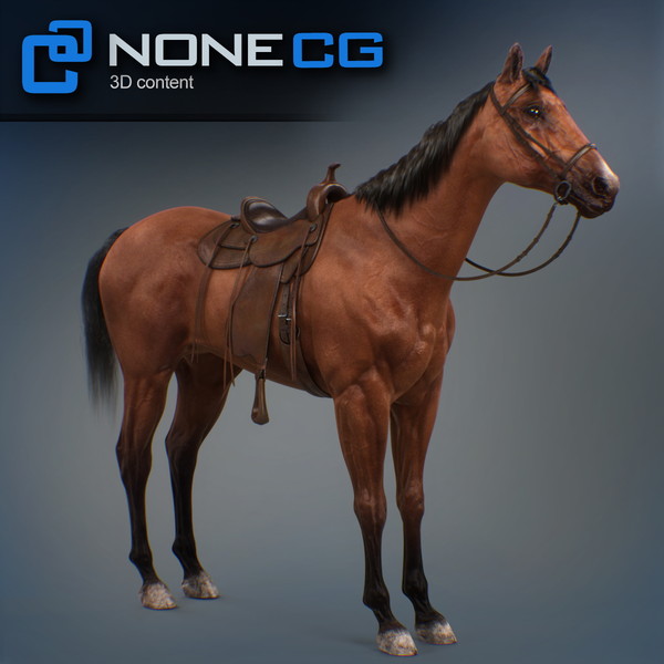horse animal mammal 3d model - Western Horse... by NONECG