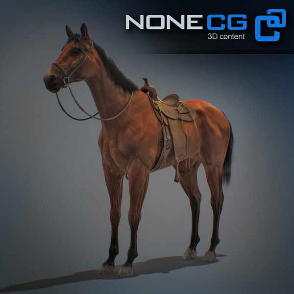horse animal mammal 3d model - Western Horse... by NONECG