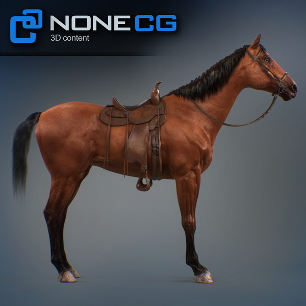 horse animal mammal 3d model - Western Horse... by NONECG