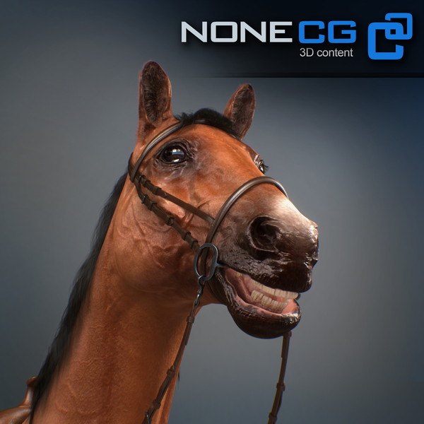 horse animal mammal 3d model - Western Horse... by NONECG
