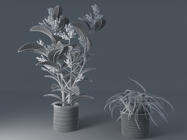 plant interior 3d model - plants collection... by VisuArt3D
