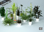 plant interior 3d model