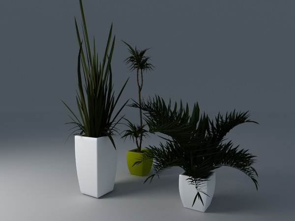 plant interior 3d model - plants collection... by VisuArt3D