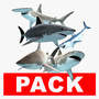 obj shark predators great