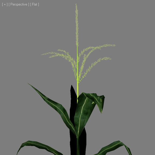 3d corn farm field - CORN by LanSVision_br.