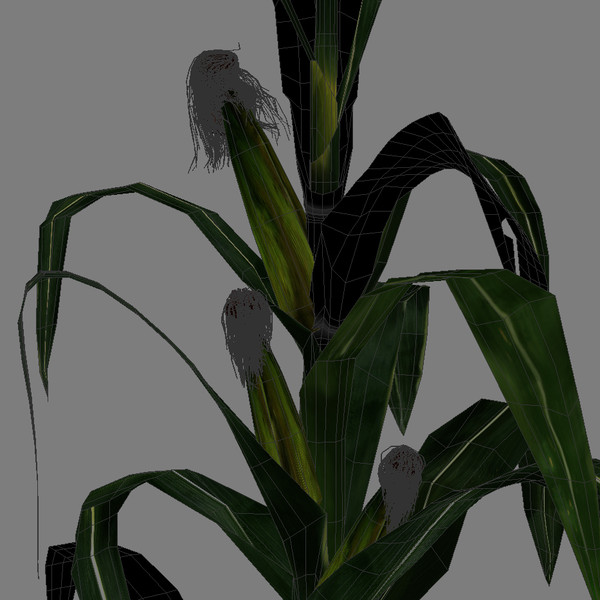 3d corn farm field - CORN by LanSVision_br.