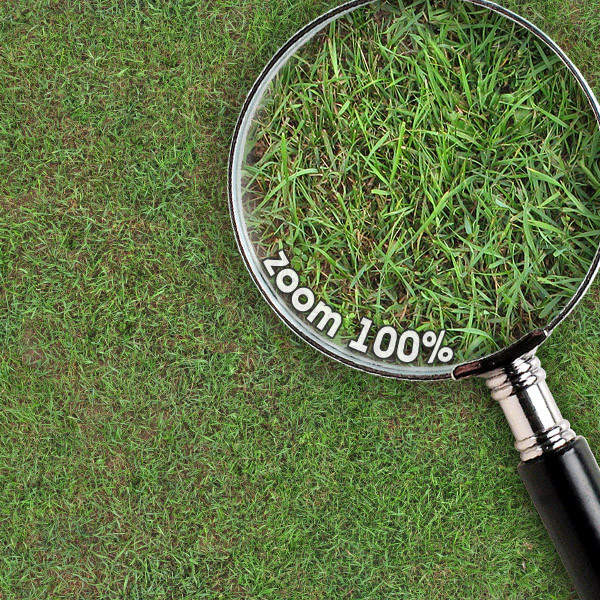 Grass Textures 2048x2048 vol.10