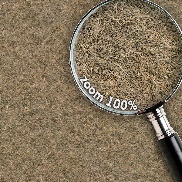 Grass Textures 2048x2048 vol.10