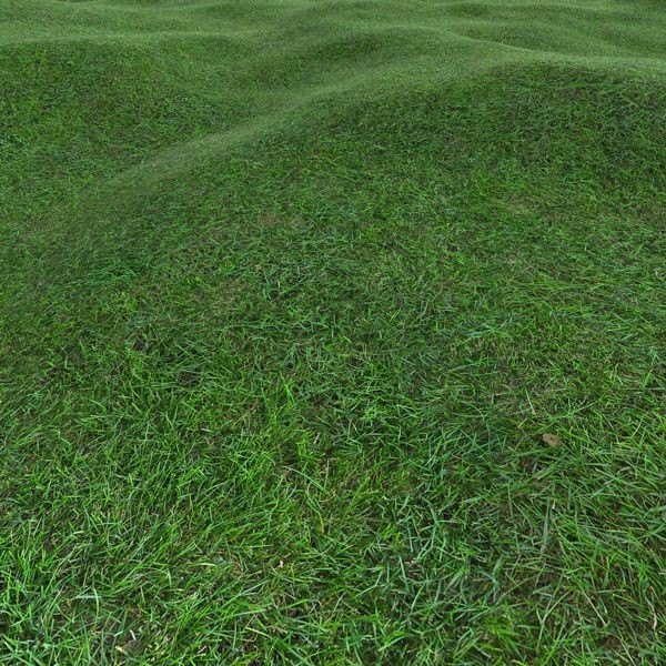 Grass Textures 2048x2048 vol.10