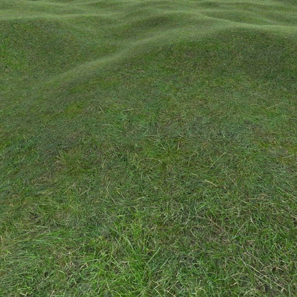 Grass Textures 2048x2048 vol.10