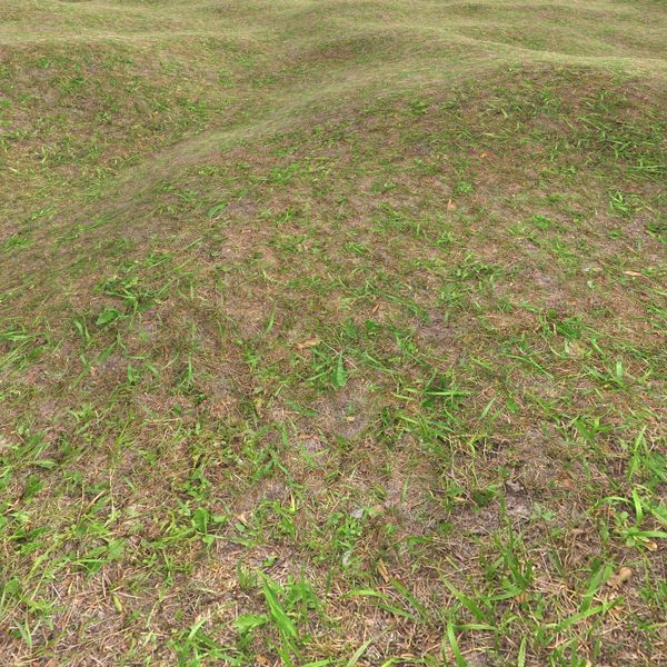 Grass Textures 2048x2048 vol.10