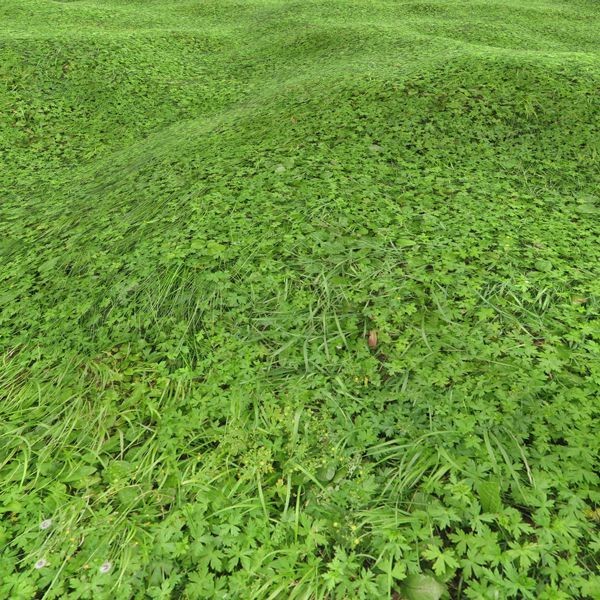Grass Textures 2048x2048 vol.10