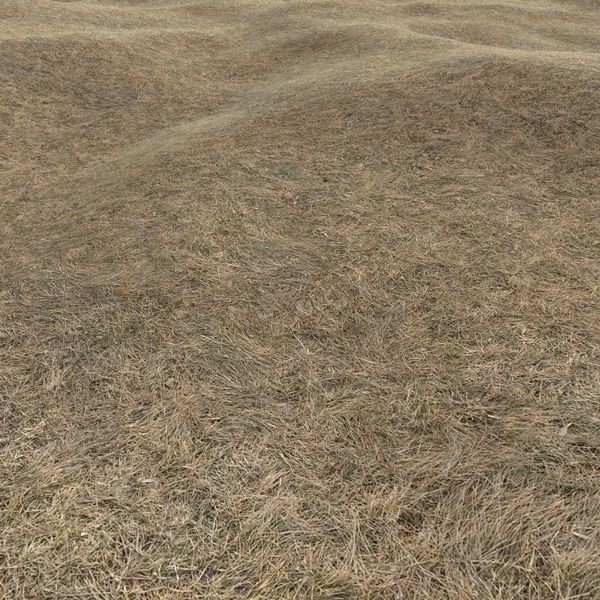 Grass Textures 2048x2048 vol.10